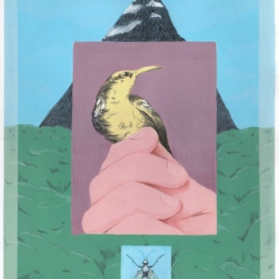 Ilustração de mão segurando card com pássaro, montanha e inseto ao fundo.