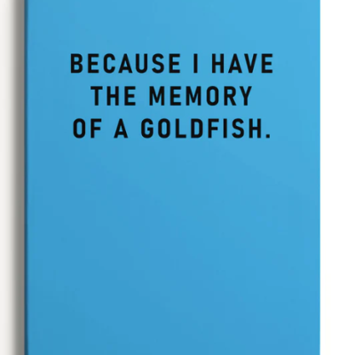 Caderno azul com texto 'BECAUSE I HAVE THE MEMORY OF A GOLDFISH.' na capa