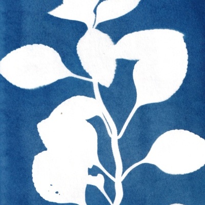 Folha branca em silhueta sobre fundo azul texturizado