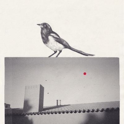 Desenho de pássaro preto e branco pousado sobre fotografia de edifício com telhado e chaminé em tons de cinza