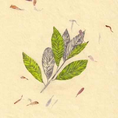 Folha desenhada com folhas verdes e cinzentas em fundo bege texturizado