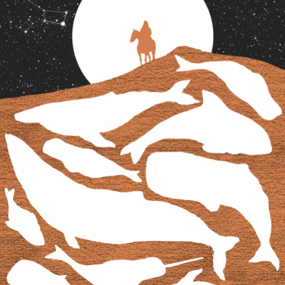 Imagem artística de várias formas brancas de peixes em solo castanho com lua cheia e figura a cavalo ao fundo