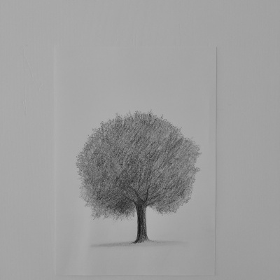 Desenho a preto e branco de uma árvore num papel branco numa parede cinzento claro