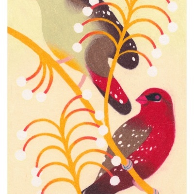 Ilustração de dois pássaros coloridos num galho com folhas e bolas brancas