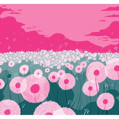 Campo de flores brancas e cor-de-rosa sob céu rosa