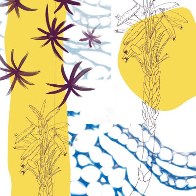 Design gráfico abstrato com plantas amarelas, manchas azuis e elementos roxos