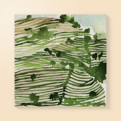 Pintura em aguarela com tons verdes e castanhos e linhas onduladas