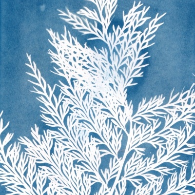 Padrão decorativo de folhas brancas sobre fundo azul