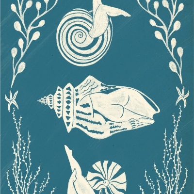 Ilustração de três conchas brancas e plantas marinhas sobre fundo azul
