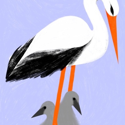 Ilustração de cegonha branca com filhotes cinzentos