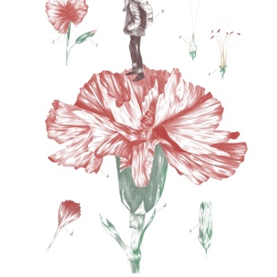 Ilustração botânica de uma flor vermelha com pessoa em cima e texto Liberdade