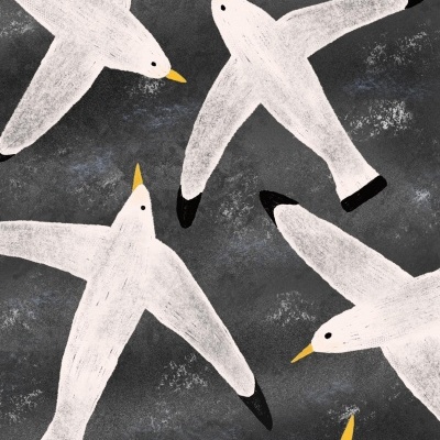 Ilustração de várias gaivotas brancas com bicos amarelos e pontas pretas sobre fundo cinzento texturizado