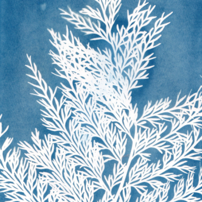 Estampa branca de folhagem sobre fundo azul