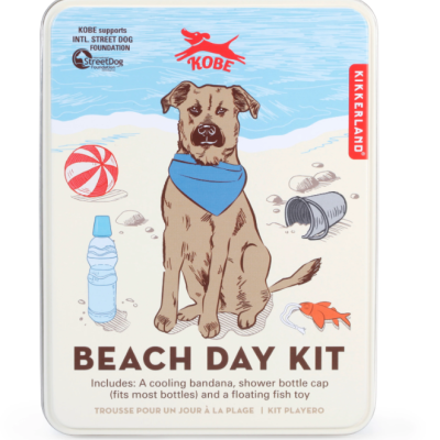 Kit Beach Day com ilustração de cão com bandana azul numa praia