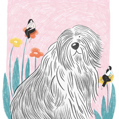 Ilustração de cão com pêlo comprido cinza e duas mulheres sentadas em flores coloridas