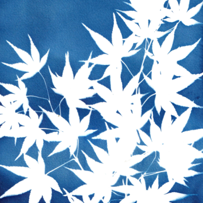 Estampa com folhas brancas sobre fundo azul em estilo cianotipia