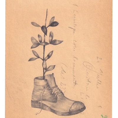 Desenho a lápis de uma bota com uma planta a crescer dentro num papel com texto manuscrito.