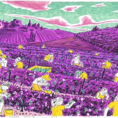 Ilustração de colheita de uvas numa vinha com pessoas vestidas de amarelo e branco.