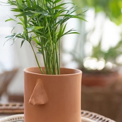 Vaso de cerâmica castanho claro com nariz saliente e planta verde