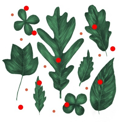 Folhas verdes variadas com pontos vermelhos e laranja