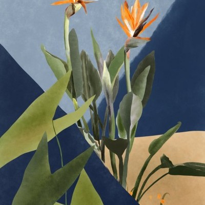 Ilustração de flores tropicais laranja com folhas verdes em fundo azul e bege