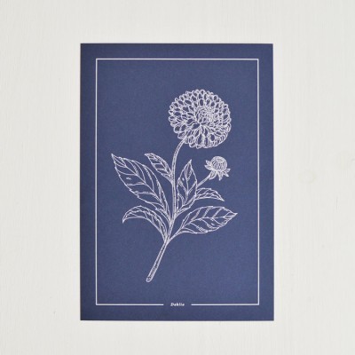 Pôster azul com desenho branco de flor e folhas com texto Dahlia