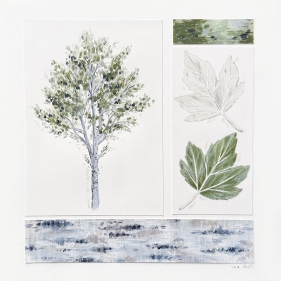 Desenhos botânicos em papel com árvore, folhas e texturas abstratas.