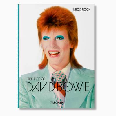 Capa do livro com fotografia colorida de David Bowie e texto do título e autor.