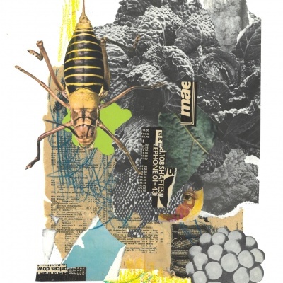 Colagem artística com inseto amarelo e preto sobre vários elementos em papel e texto parcial