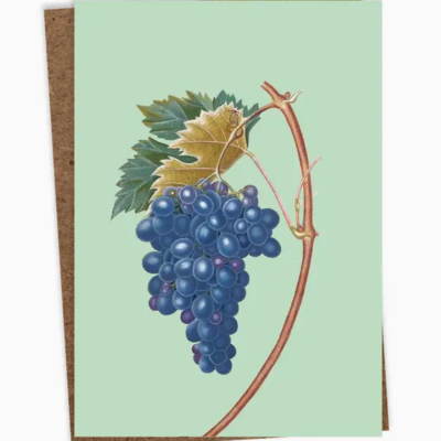 Cartão com ilustração de cachos de uvas roxas e folhas em fundo verde claro