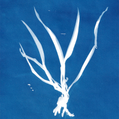 Objeto branco com formas alongadas sobre fundo azul