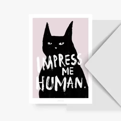 Cartão postal com ilustração de gato preto e texto 