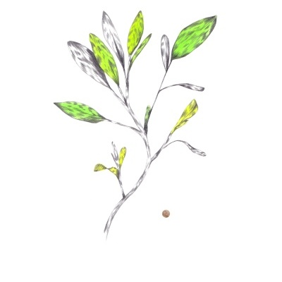 Desenho de ramo com folhas verdes, cinza e amarelas sobre fundo branco.