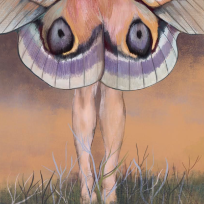 Pernas humanas nuas com asas de mariposa coloridas suspensas acima da vegetação seca