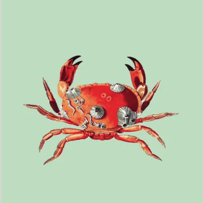 Ilustração de caranguejo vermelho com conchas no corpo sobre fundo verde claro