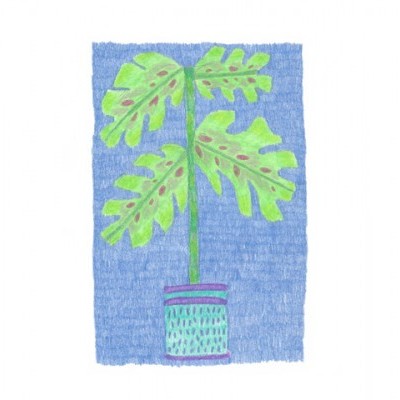 Desenho colorido de planta em vaso azul