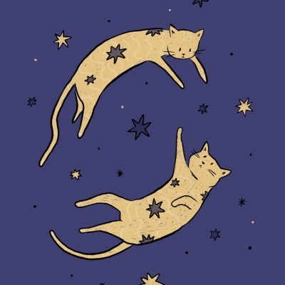 Ilustração de dois gatos amarelos com manchas e estrelas num fundo azul escuro.