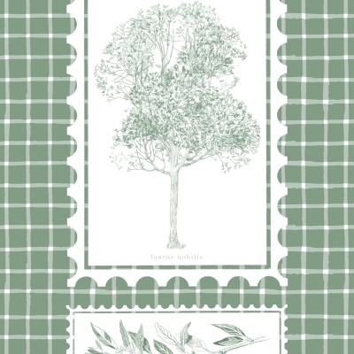 Padrão decorativo em xadrez verde com desenho de árvore e ramo com texto 'laurus nobilis'.