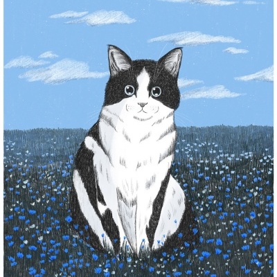 Ilustração de gato preto e branco num campo de flores azuis sob céu azul com nuvens brancas