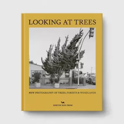 Livro capa dura amarela com fotografia de árvore inclinada e texto em inglês
