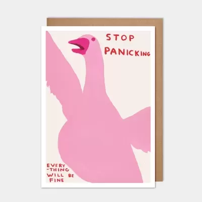 Cartão ilustrado com um cisne rosa e texto motivacional vermelho.
