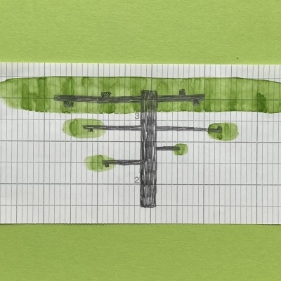 Desenho de uma árvore em folha quadriculada com bordas perfuradas