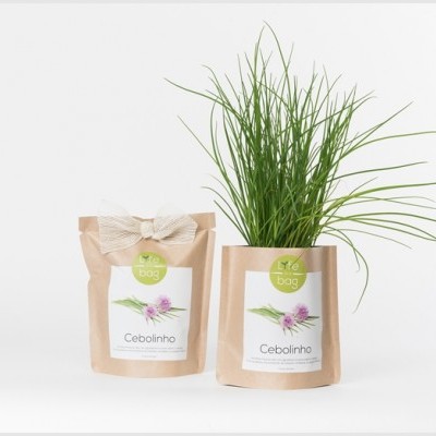 duas embalagens de papel castanho com etiquetas, uma com cebolinhas frescas e outra com sementes, fundo branco