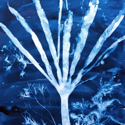 imagem artística azul e branca de planta com ramos longos em fundo texturizado