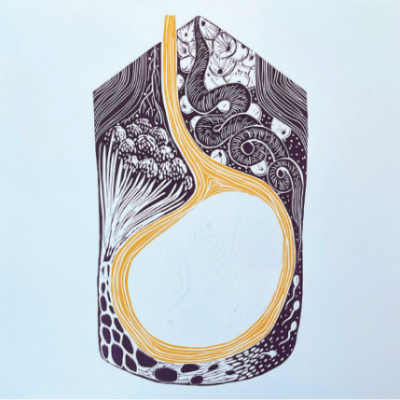 Ilustração anatómica em preto, branco e amarelo sobre fundo azul claro