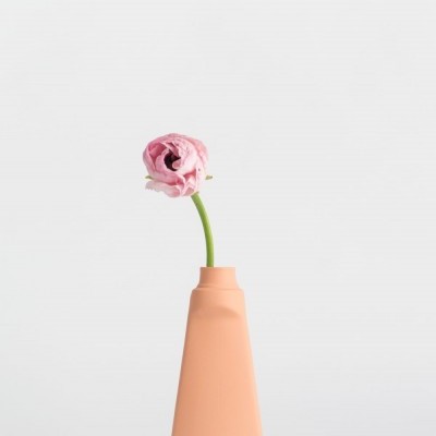 Vaso salmão com flor rosa sobre fundo branco