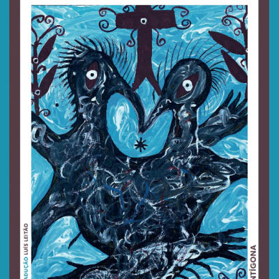 Capa de livro O GRITO DOS PÁSSAROS LOUCOS com ilustração de duas aves pretas e azuis