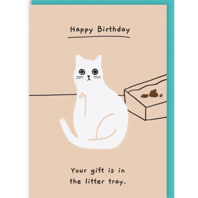 Cartão de aniversário com ilustração de gato e texto humorístico.