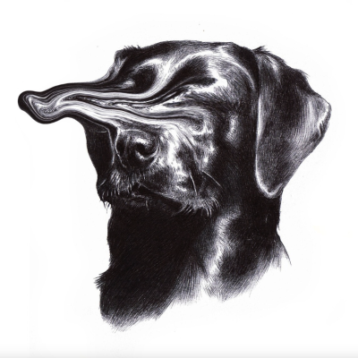 Desenho em preto e branco de cabeça de cão com focinho distorcido em ondas