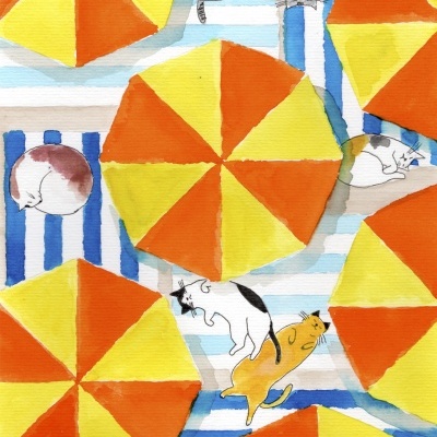 Guarda-sóis coloridos e gatos numa praia vista de cima